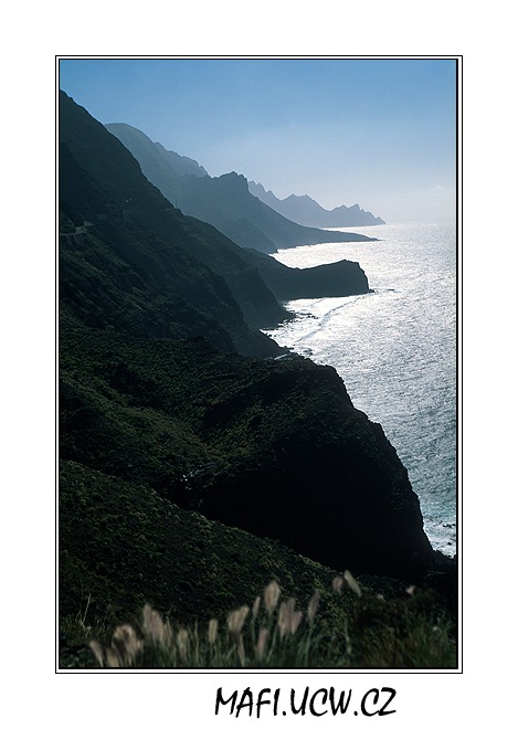 canaria06_02_19 .jpg